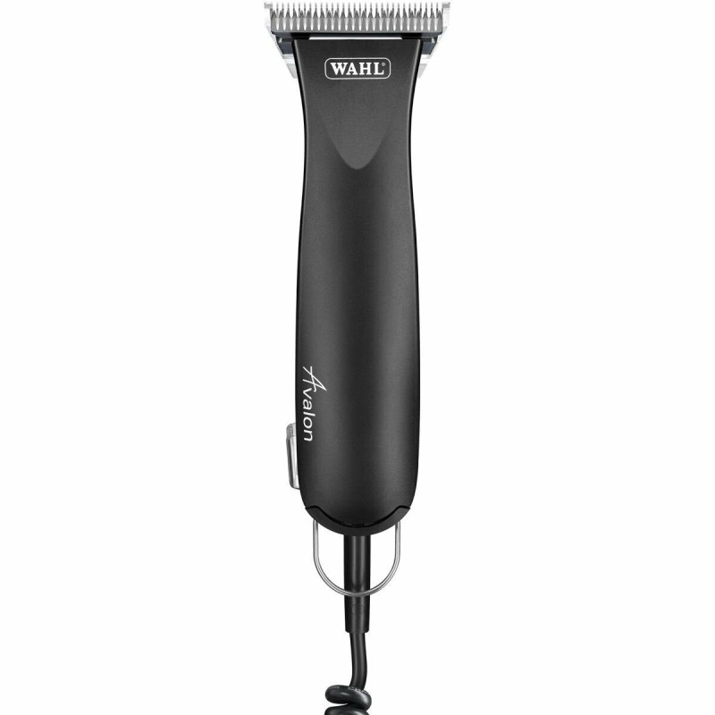 WAHL Avalon